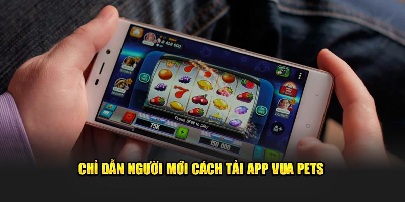 Chỉ dẫn người mới cách tải app Vua Pets