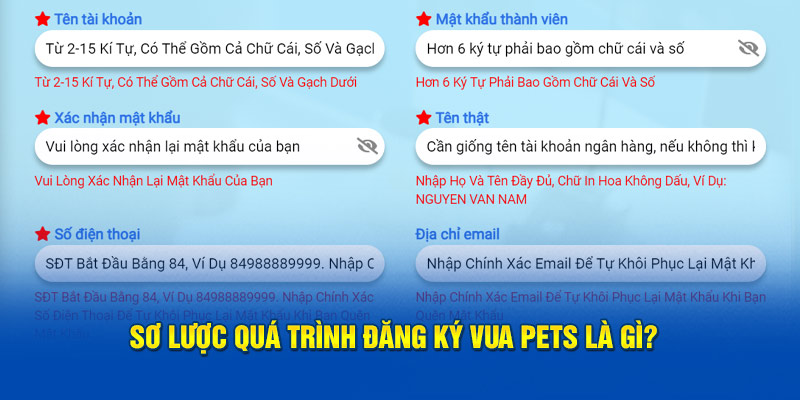 Sơ lược quá trình tạo tài khoản tại nhà cái là gì?